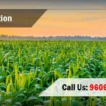 APEDA Registration Consultants for Agricultural and Processed Food Products Exports.