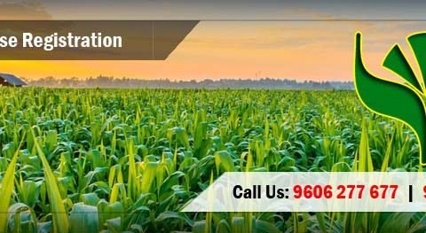 APEDA Registration Consultants for Agricultural and Processed Food Products Exports.