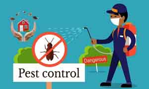 GST Registration for Pest Control Company