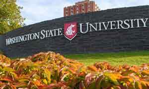 GST Registration for University