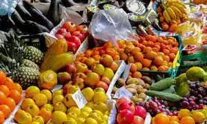 FSSAI License Registration for Fruits Dealers