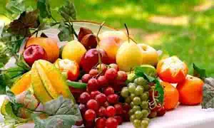 FSSAI License Registration for Fruits Importers