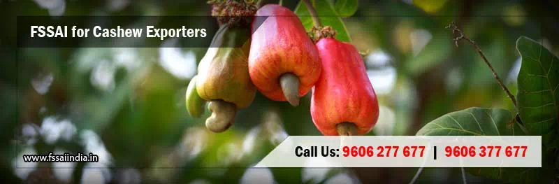 FSSAI Registration &  Food Safety License for Cashew Exporters